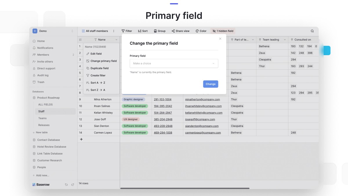 Primary field in Baserow